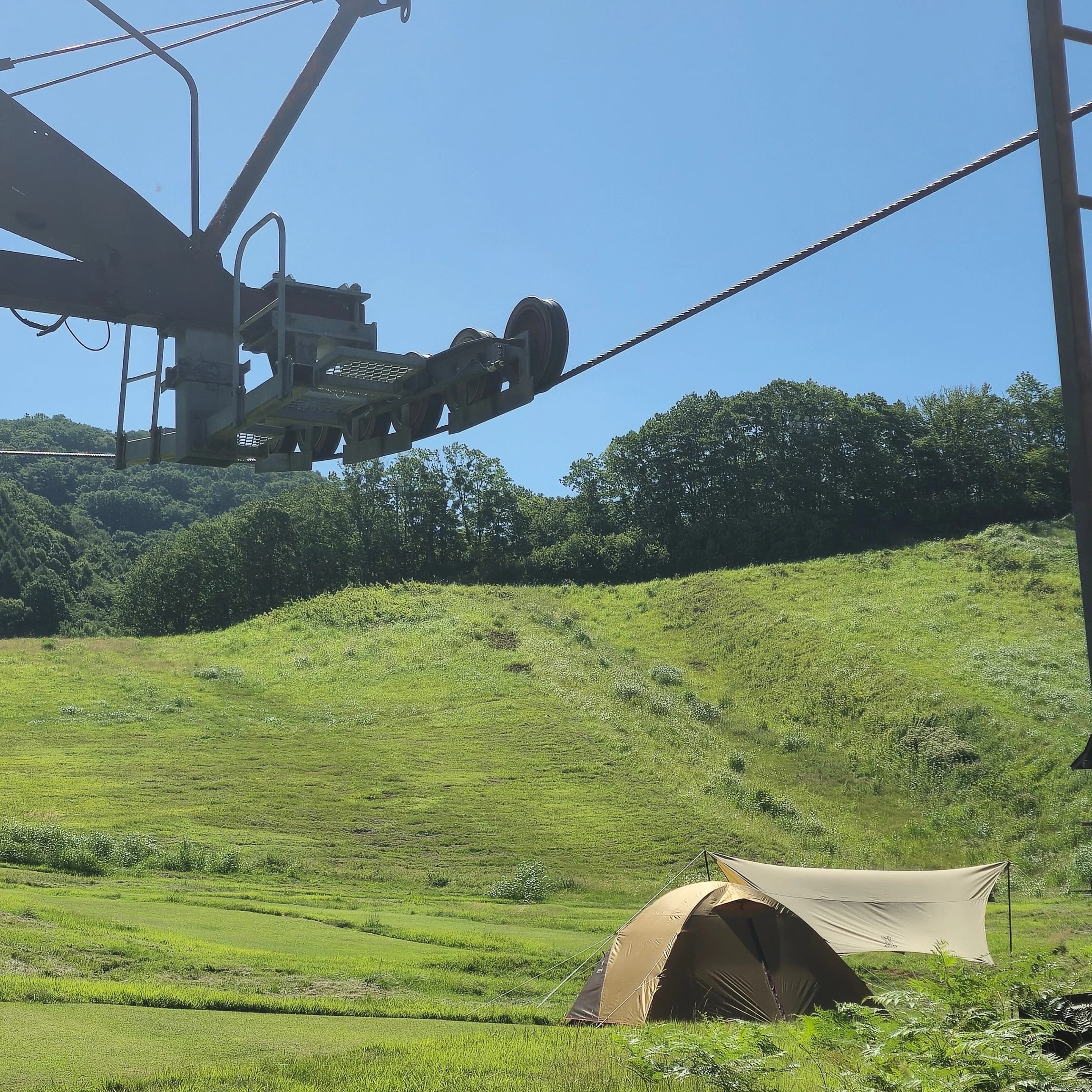 アーリー/レイト無料